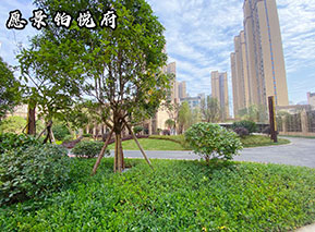 社區配套